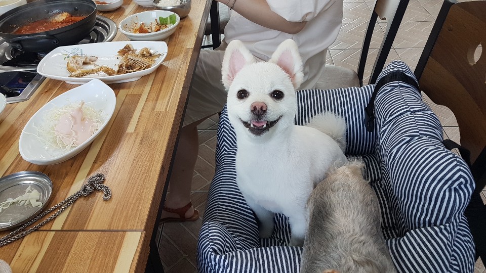 다해정 이미지