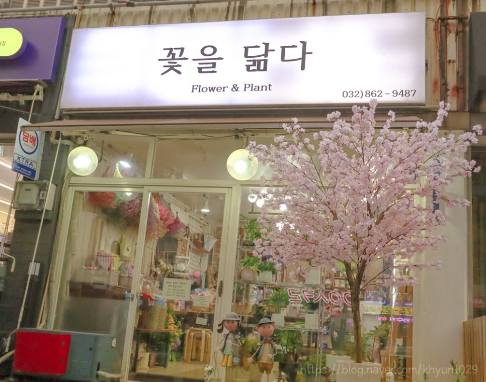 꽃을닮다 이미지