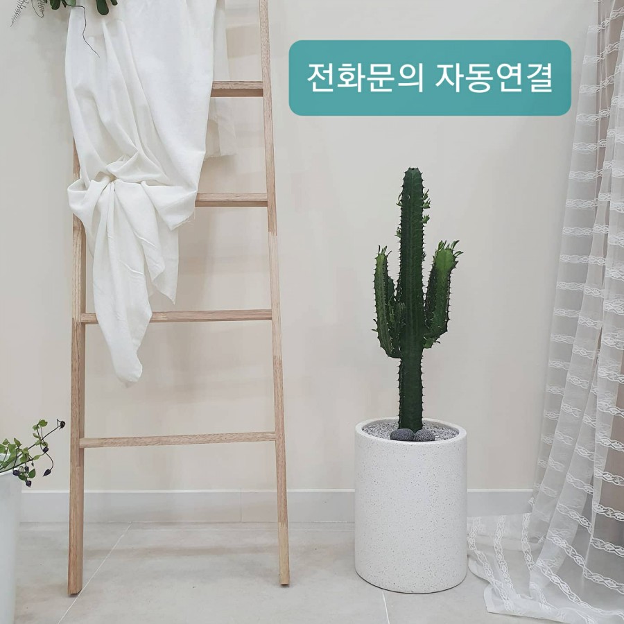 텐퍼센트커피 명지국제신도시점 이미지