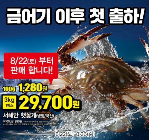 롯데쇼핑(주) 롯데마트사업본부 이미지