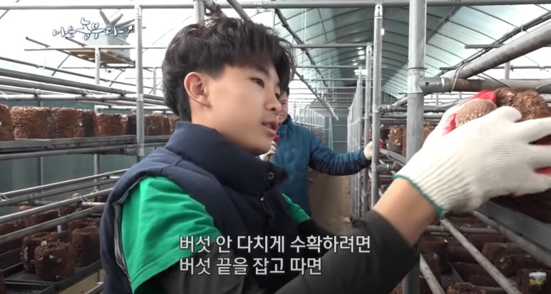 버섯농부가족 이미지