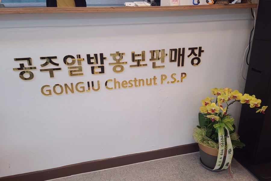 알밤홍보판매장 이미지