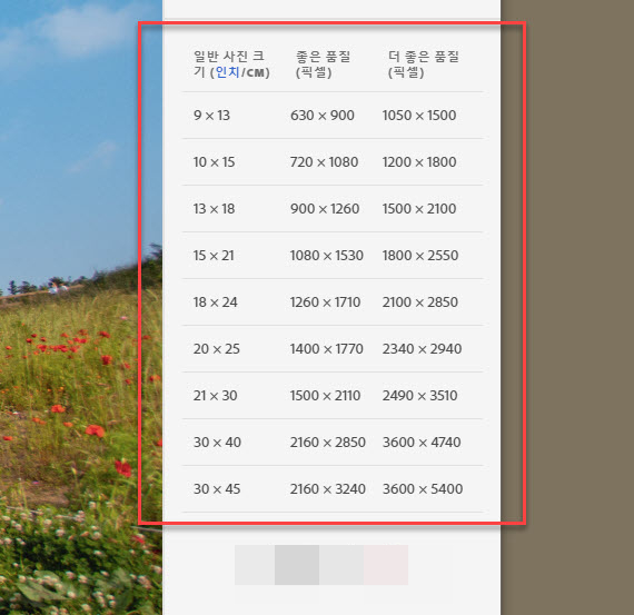 올리통상 이미지