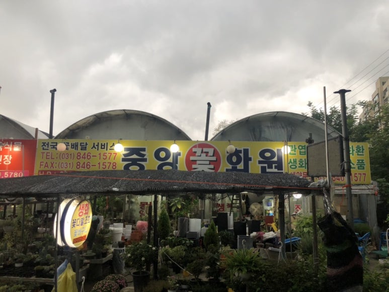 중앙꽃화원 이미지