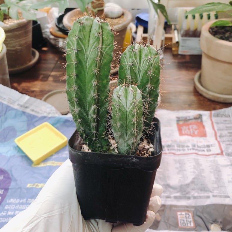 (주)다름 이미지