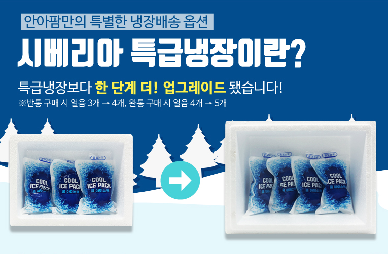 여니플로라 이미지