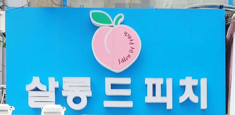 살롱 드 피치 이미지