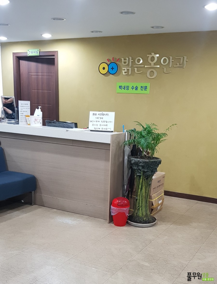 홍안과의원 이미지