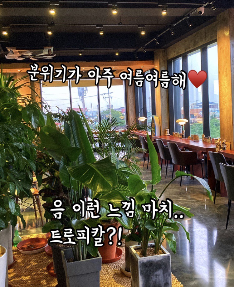 카페요디 이미지