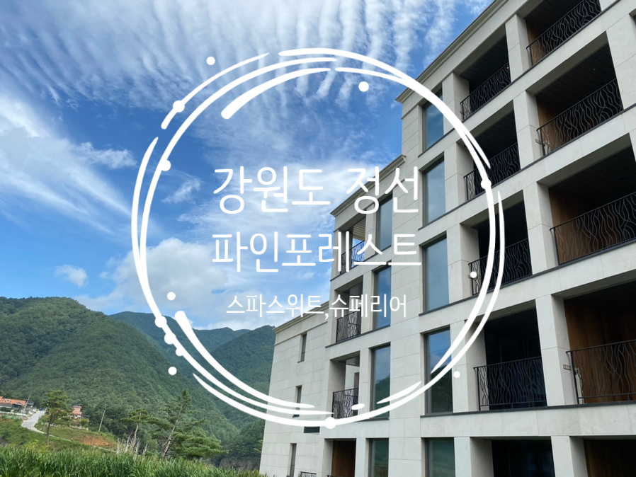 브이탑항공 이미지