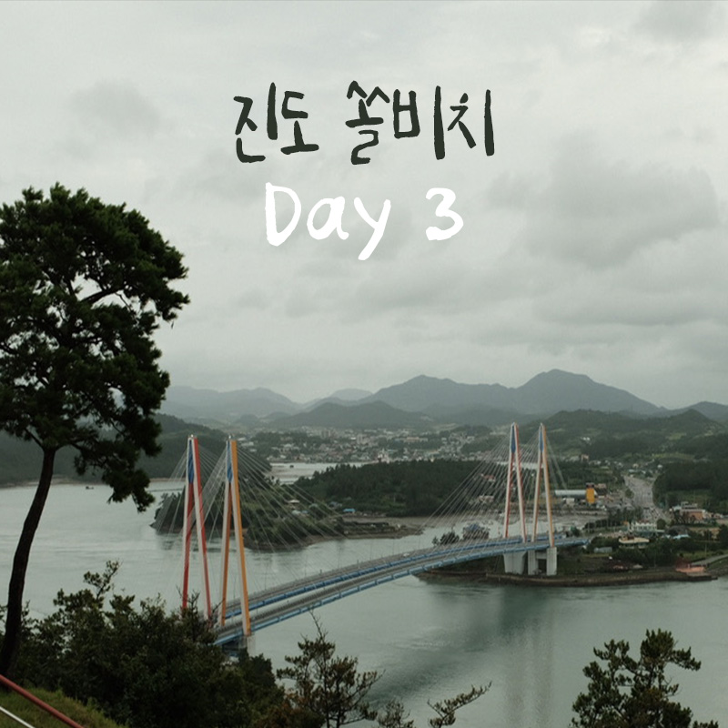 진도대교 국밥 이미지