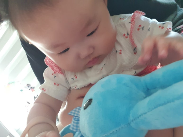베이비또율 이미지