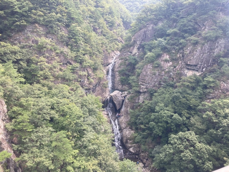반종매점 이미지