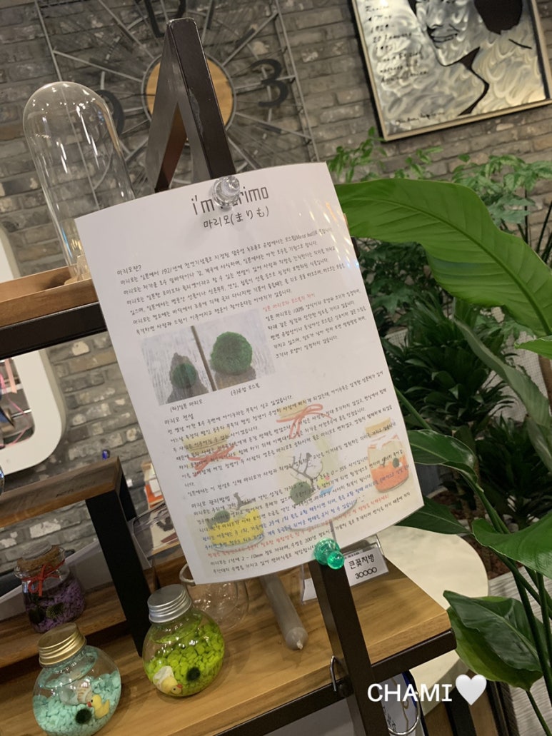 동남플라워&커피 이미지
