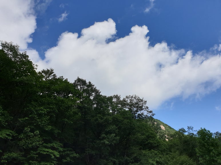 국립황정산자연휴양림캠핑장 이미지