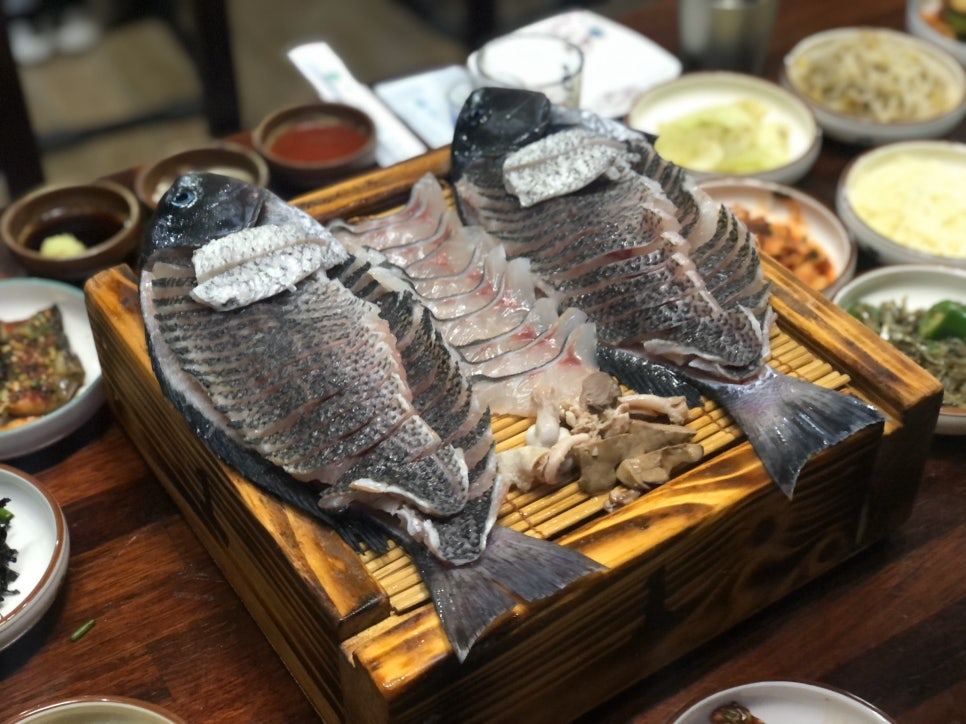 판다이소 이미지