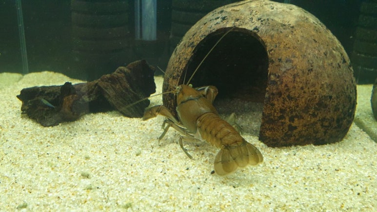 더네이처팜 이미지