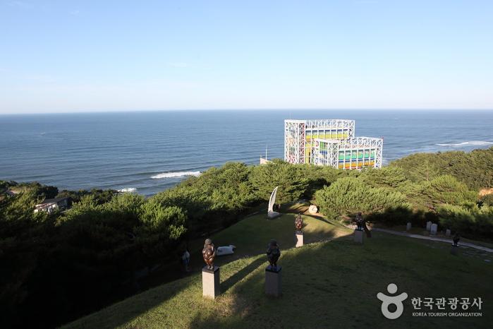 국립대관령치유의숲 이미지