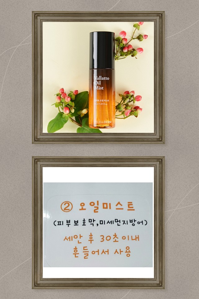 피부미인인셀덤 이미지