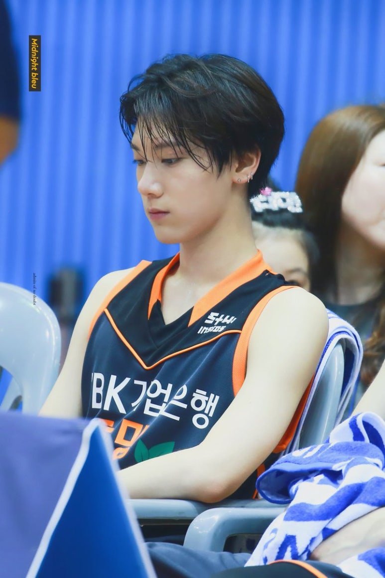 스타일수 이미지