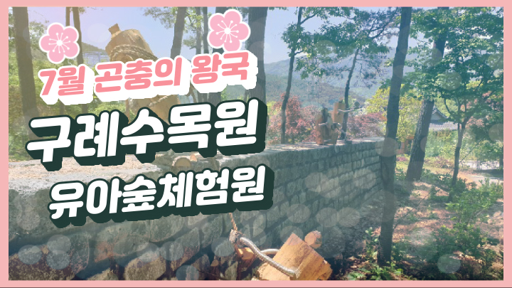 구례수목원 유아숲체험원 이미지