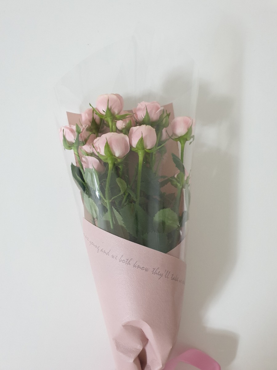 플라이땡스 이미지