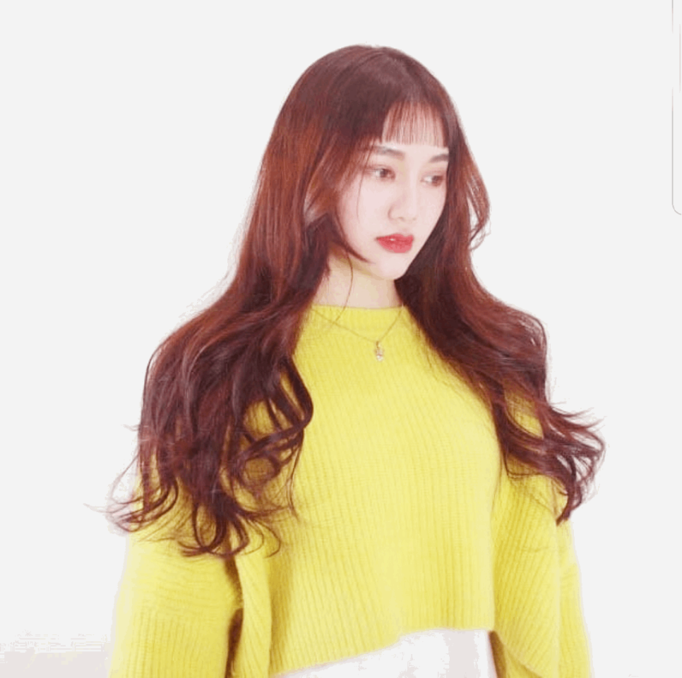 헤어벨 이미지