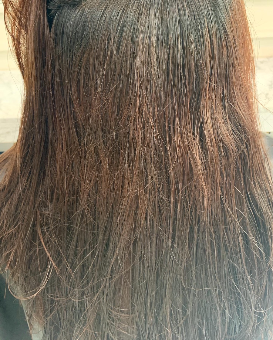 여니크 이미지