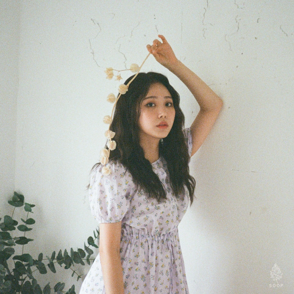 밤수성 이미지