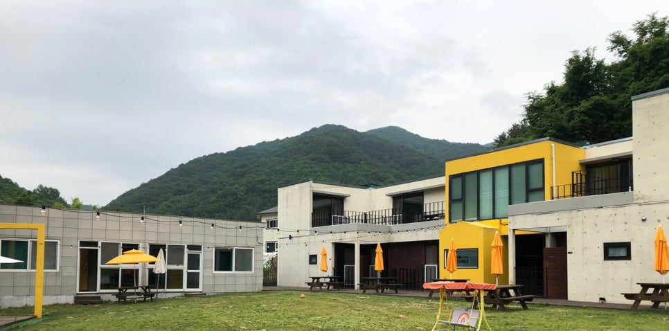 도그밀리 이미지