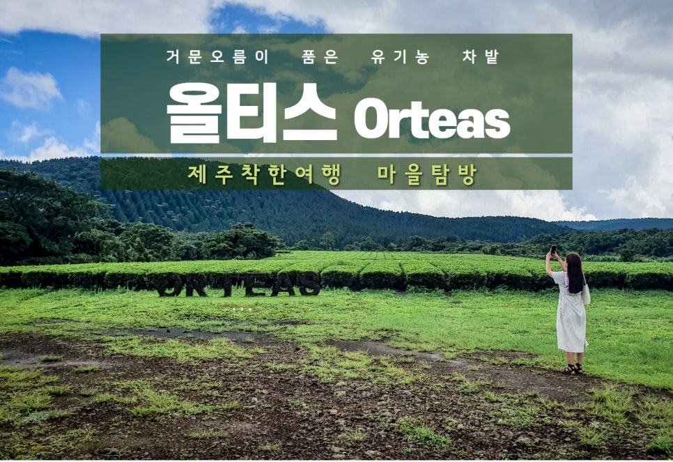 제주유기농마을 이미지