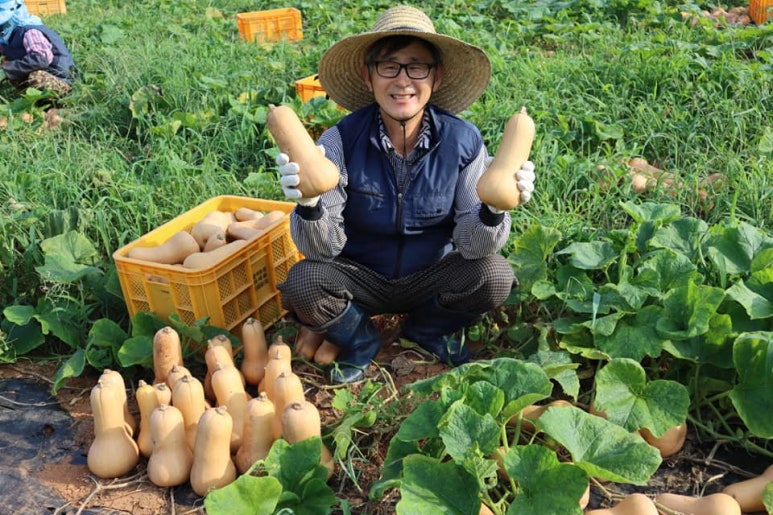 제일땅콩 이미지
