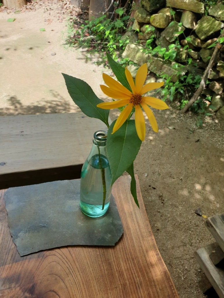 예솔누리 이미지