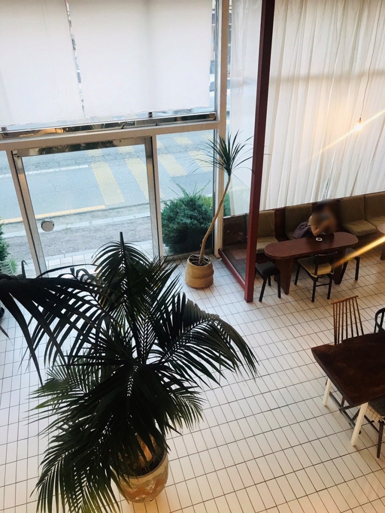 오팔구 이미지