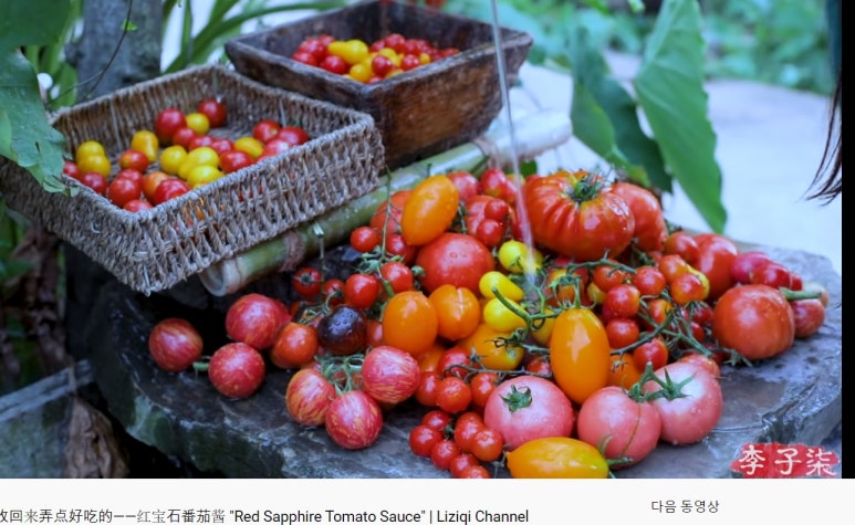 산아래토마토 이미지