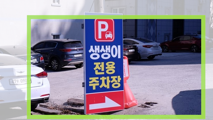 생생이 이미지