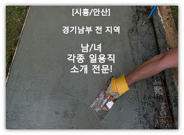 미화파출부 이미지