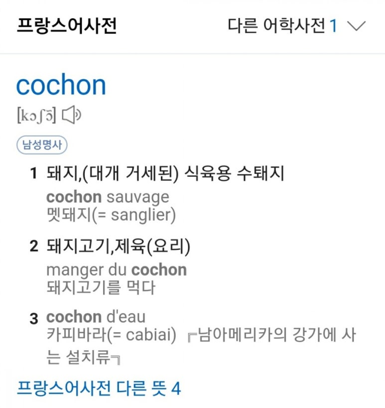 꼬숑돈카츠 이미지
