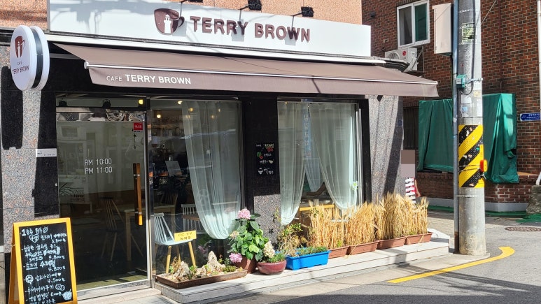 테리브라운 이미지