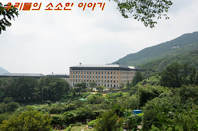 학교법인금정학원 이미지