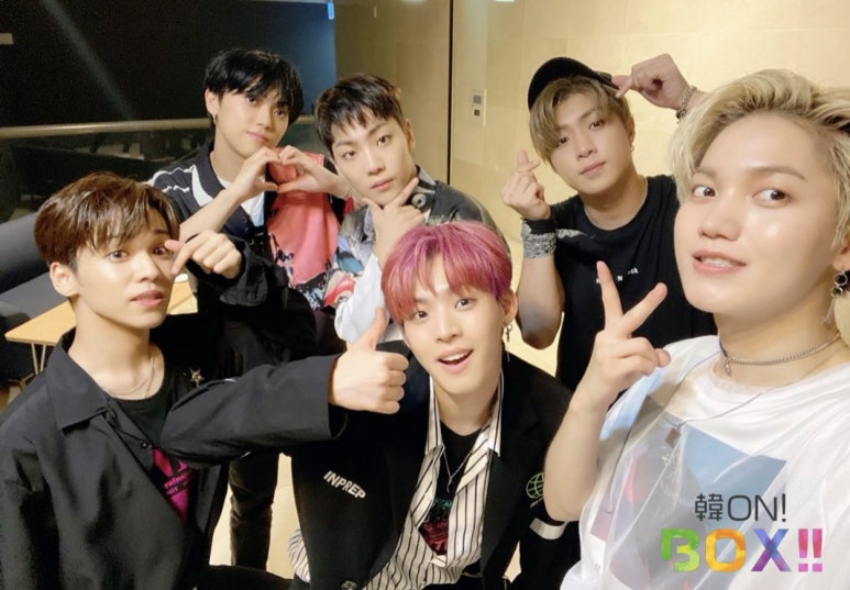 스위밍박스 이미지