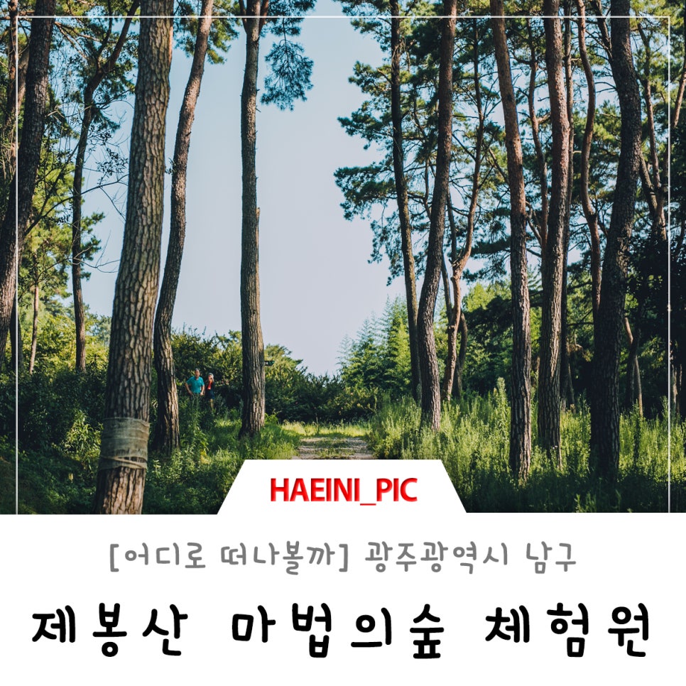 제봉산 마법의 숲체험원 이미지