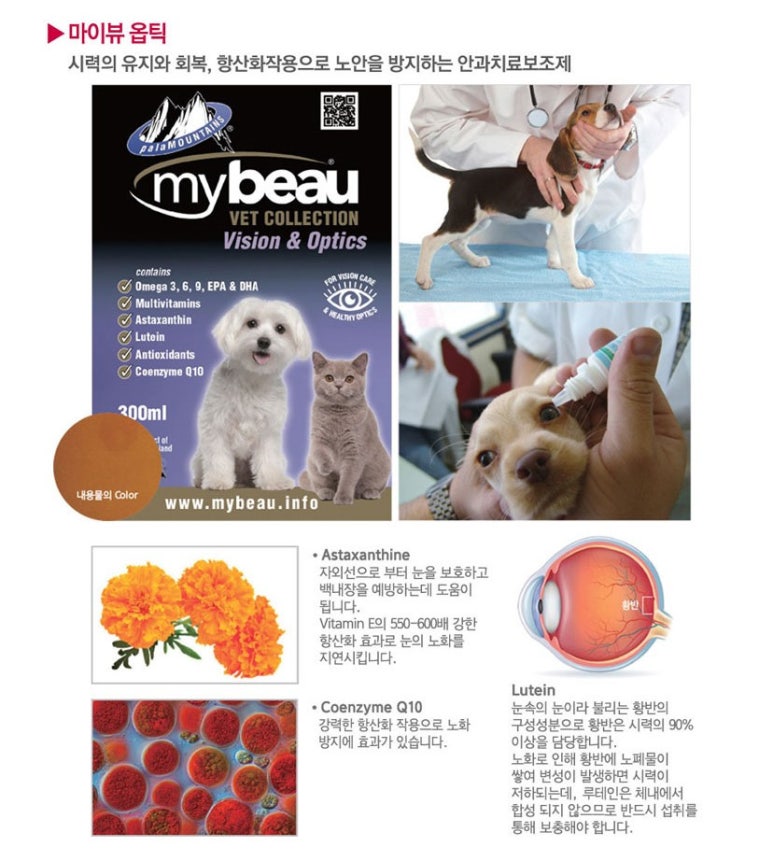 마이뷰 이미지