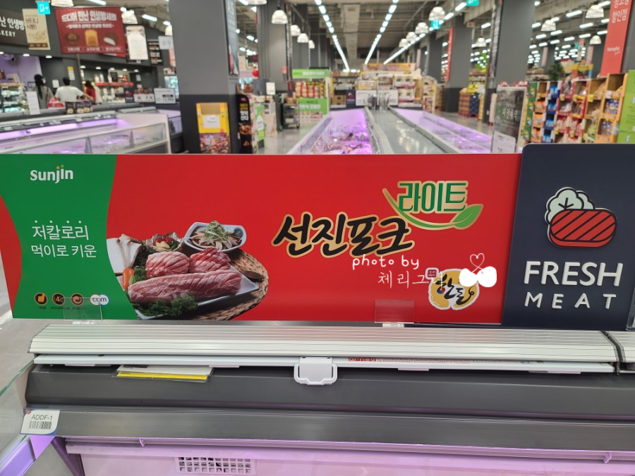 선진라이트 이미지