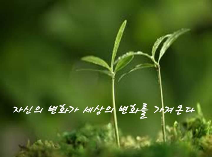 (주)서로 이미지