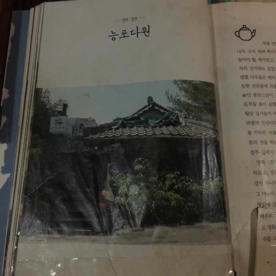 능포다원 이미지