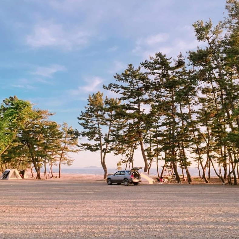 나만의풍경캠핑&펜션 이미지