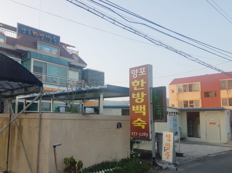 양포한방백숙 이미지