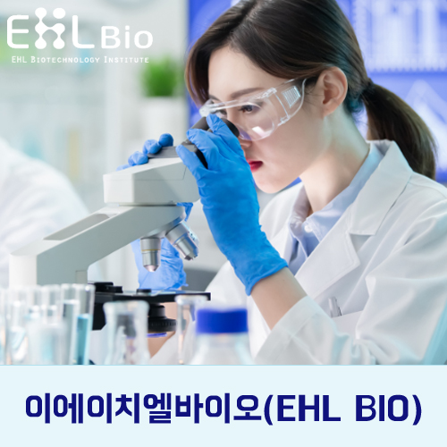 이에이치엘 이미지