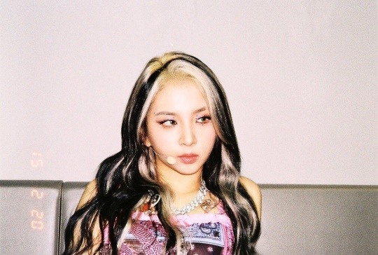 헤어쇼앤위그 이미지